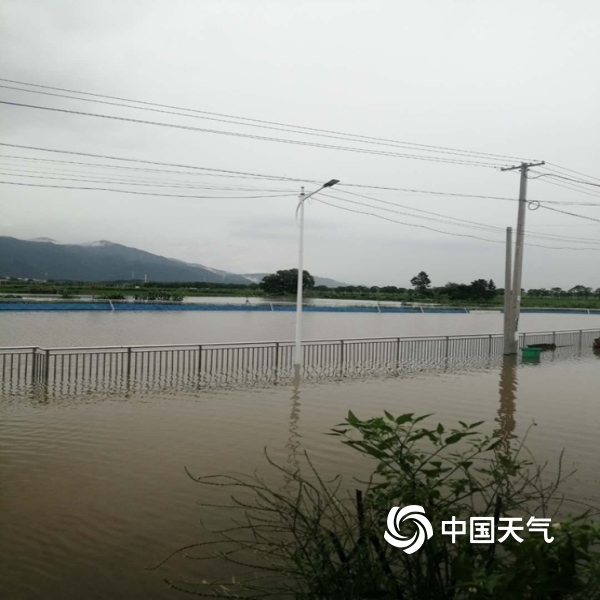 安义县南潦河洪峰经过长埠镇,导致内涝.(图/高育兴)