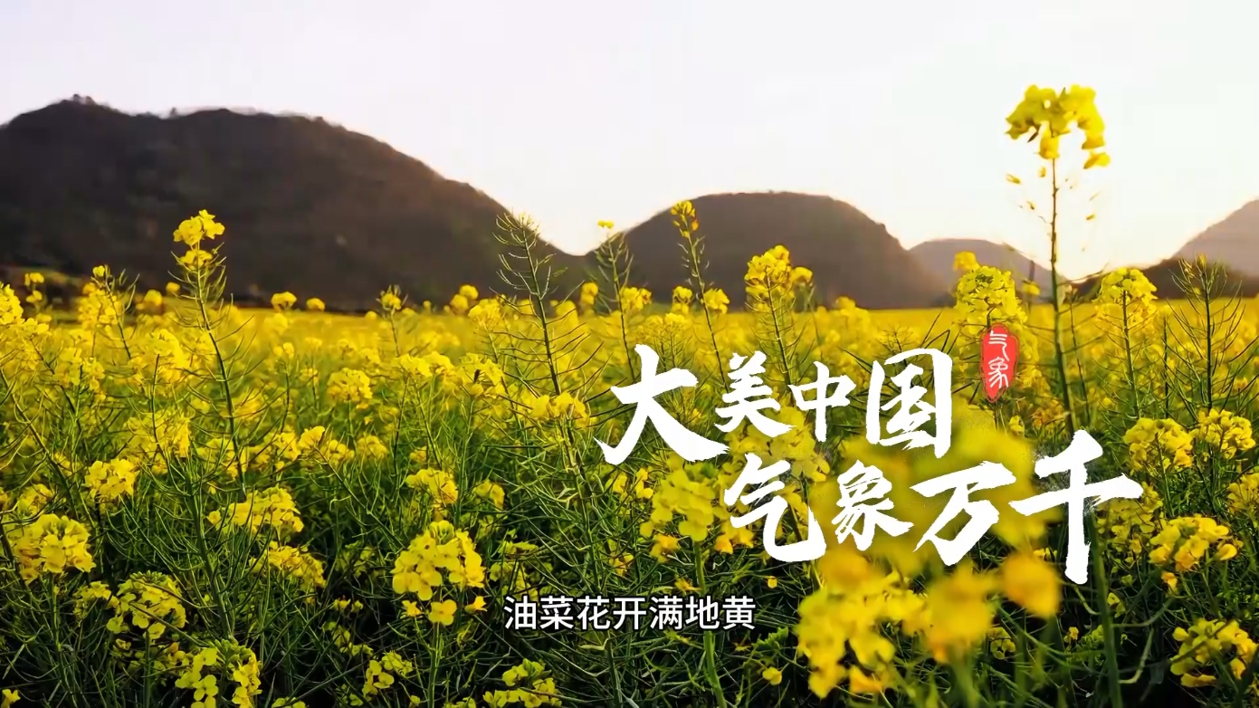 大美中国——江西赣州油菜花