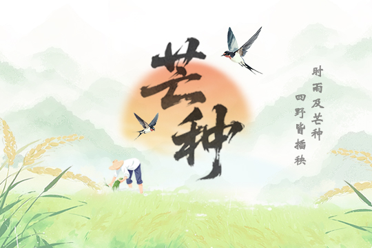 芒种：芒有所得 种有所获