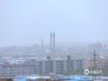 山西平陆出现沙尘天气 天空能见度不佳